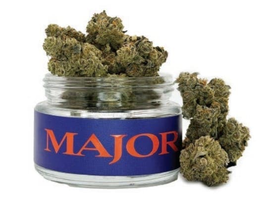 product image for Applescotti Flower 3.5g