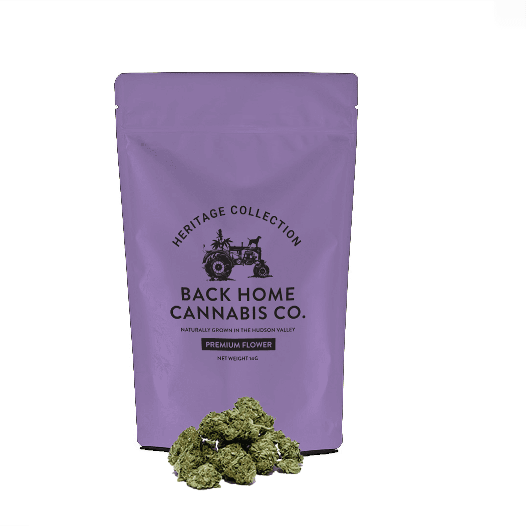 Northern Lights • Flower • 14G - Back Home Cannabis Co. | Treehouse Cannabis