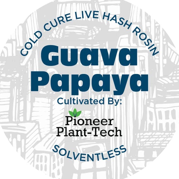 Guava Papaya Live Rosin Concentrate 1g - Nyce