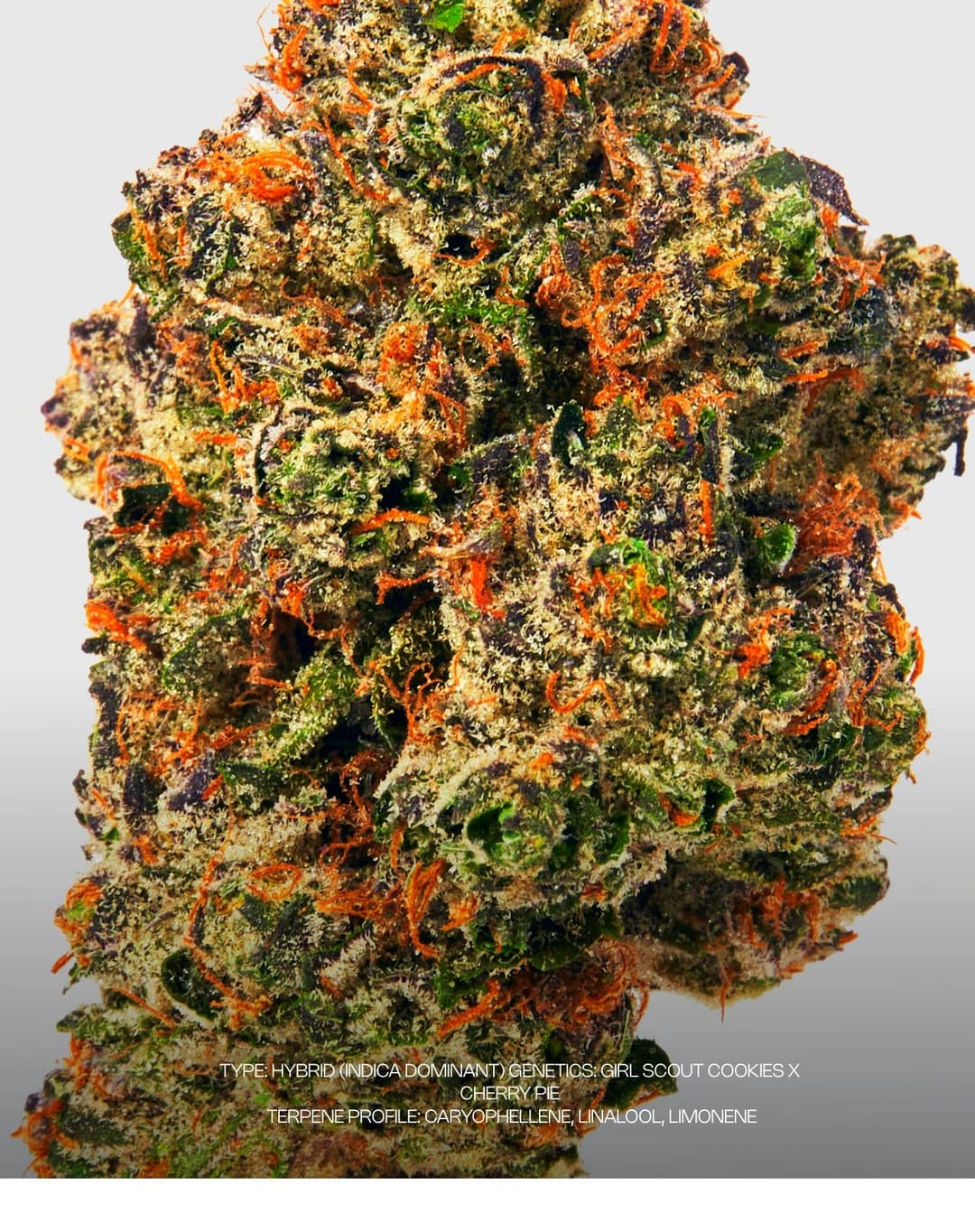 Birthday Cake • Flower • 3.5g - Dada Exotics | Treehouse Cannabis