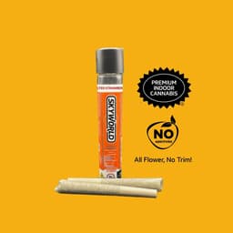 Zepperz • 2 Pack Pre-Rolls • 1g