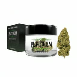 Stardawg | Flower | 3.5g