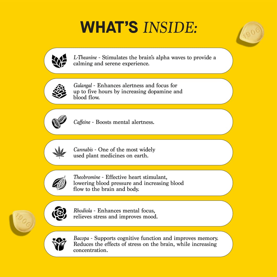 Genius Drops 4-Pack - (1906) | Treehouse Cannabis