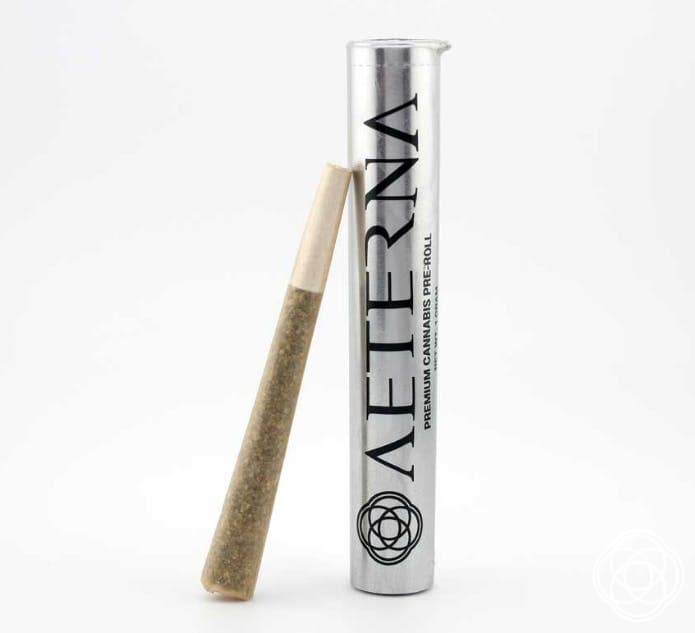 Apple Fritter • Pre-Roll • 1G - Aeterna | Treehouse Cannabis