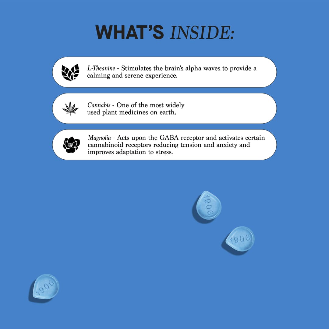 Chill • 20 Pack Tablets • THC: 100mg, CBD: 500mg - (1906) | Treehouse Cannabis