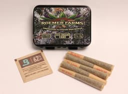 Ice Cream Cake | 5pk Pre-rolls | 2.5g