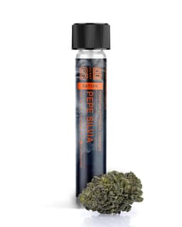 Pepe Silvia | Pre-roll • 1G