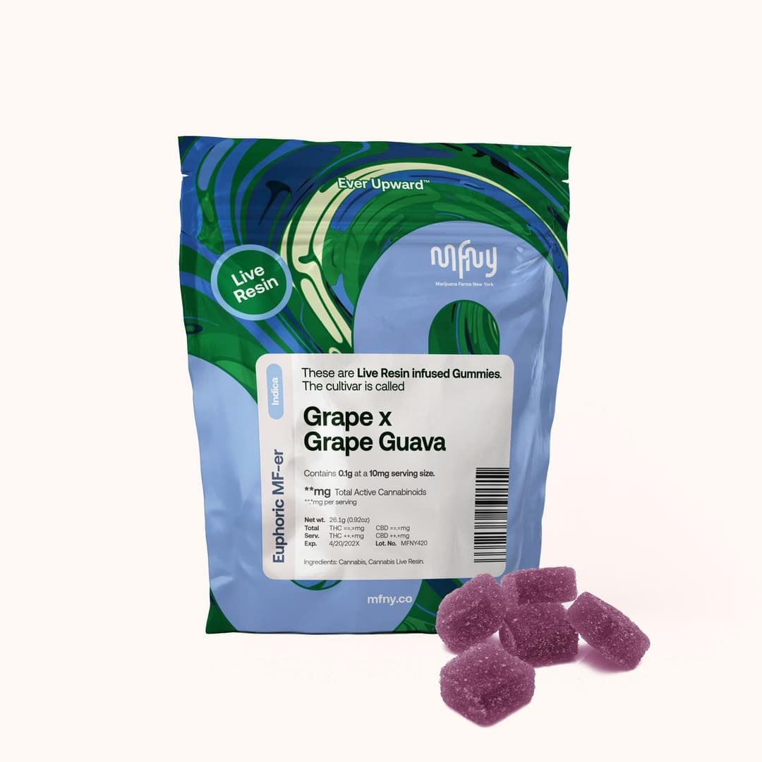 Grape x Grape Guava Live Resin Gummies • 10 pk - MFNY | Treehouse Cannabis