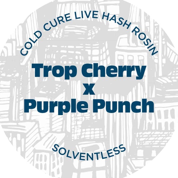 Trop Cherry x Purple Punch Live Rosin Concentrate 1g - Nyce