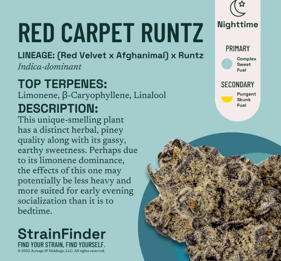 Red Carpet Runtz • Flower • 3.5g - The Botanist | Treehouse Cannabis