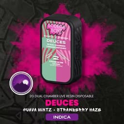 Guava Mintz X Strawberry Haze | Live Resin AIO Disposable | 2g