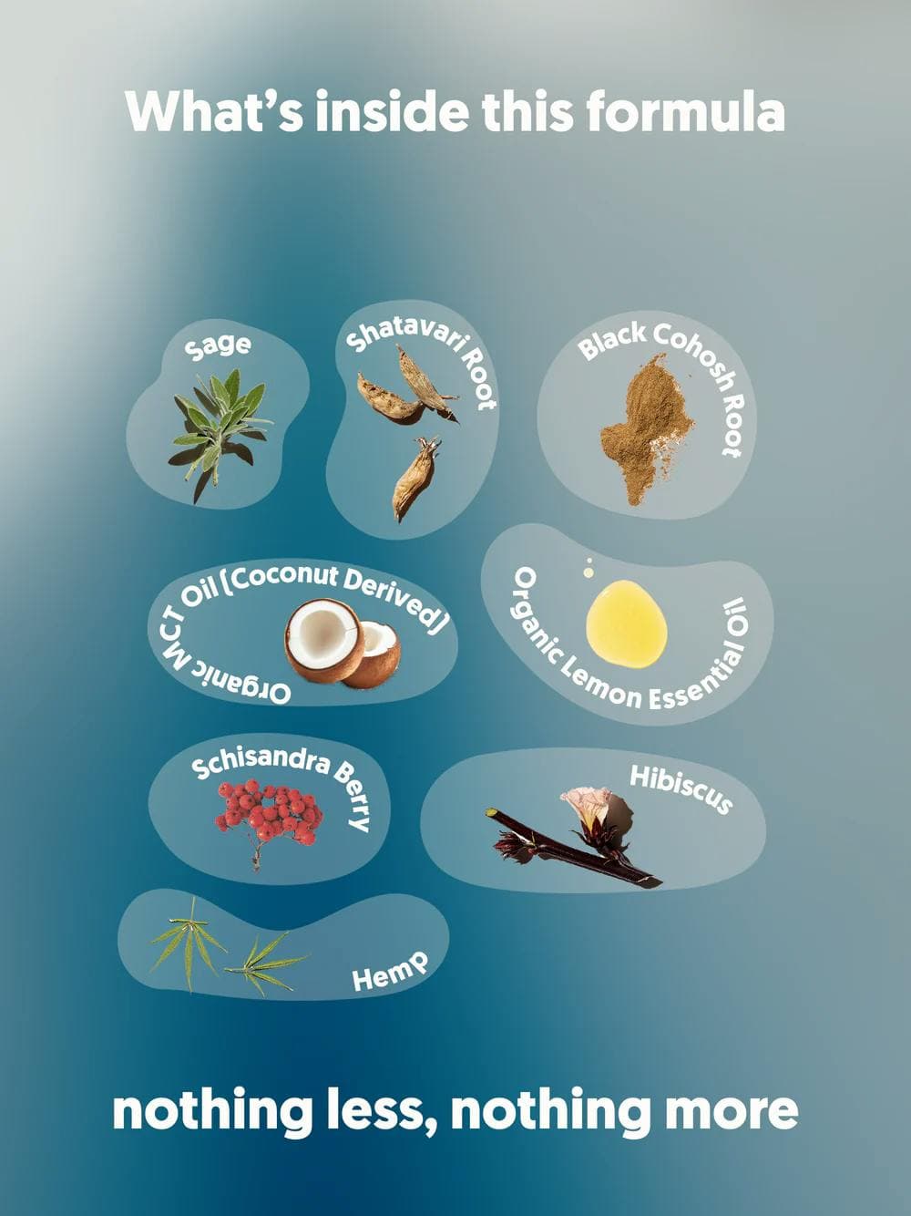 Moon-a-pause • 1050mg CBD • 150mg CBG - Xula Herbs | Treehouse Cannabis