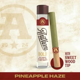 Pineapple Haze • Wood Tip Infused Pre-Roll • 1g