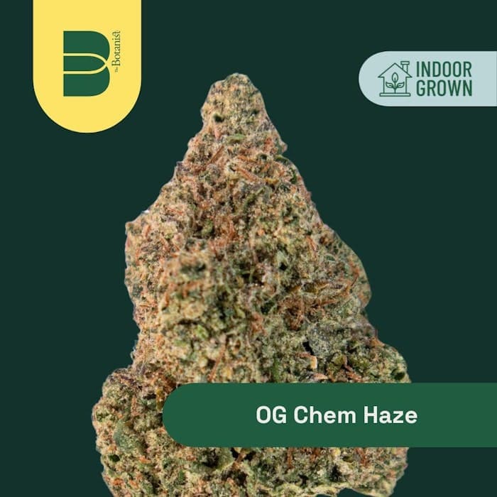 OG Chem Haze • Flower • 3.5g - The Botanist | Treehouse Cannabis