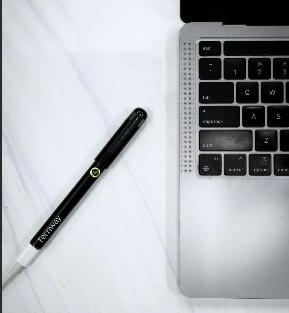 The Stylus Vape Battery 510 Thread - Fernway