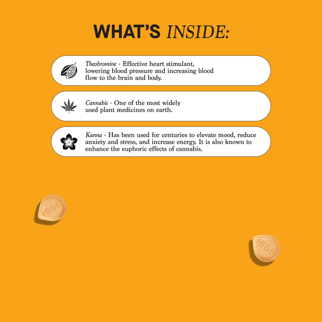 Bliss • 20 Pack Tablets • 100mg - (1906) | Treehouse Cannabis