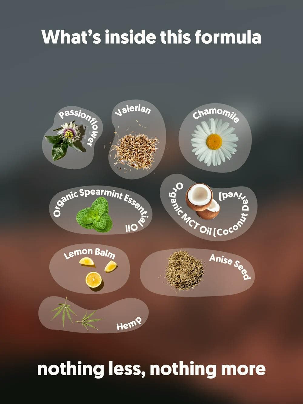 Lights Out (ZZZ) • 990mg CBD • 210mg CBN 120 Softgel Tablets - Xula Herbs | Treehouse Cannabis