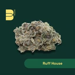 Ruffhouse | Flower | 14G