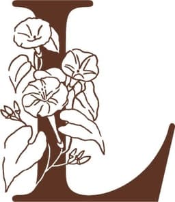 Thin Mint GSC | Flower