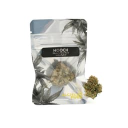 Hooch | Dime Bag | .7g