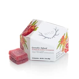 Pomegranate 1:1 CBD + Hybrid Enhanced Gummies | THC: 100mg, CBD: 100mg