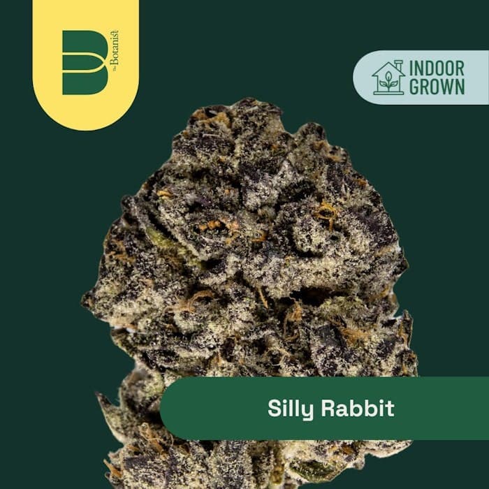 product image for Silly Rabbit Flower 3.5g