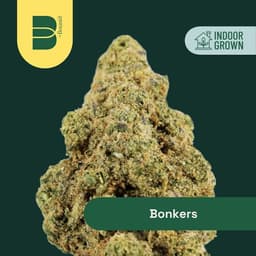 Bonkers | Flower | 3.5g