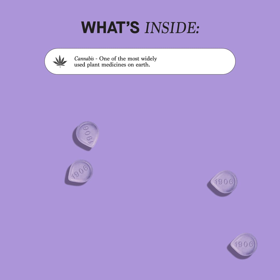 Sleep • 2 Pack Tablets • THC: 10mg, CBD: 10mg - (1906) | Treehouse Cannabis