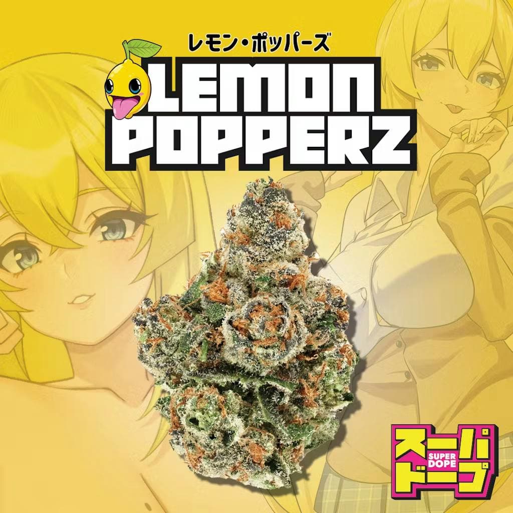 Lemon Popperz Flower 7g - Super Dope