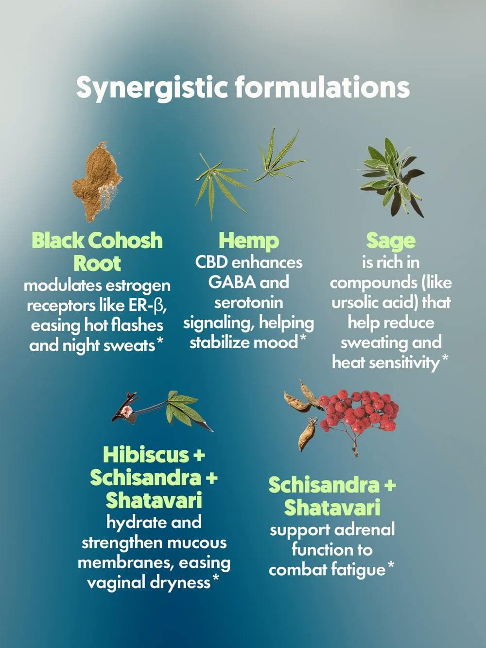 Moon-a-pause • 1050mg CBD • 150mg CBG - Xula Herbs | Treehouse Cannabis