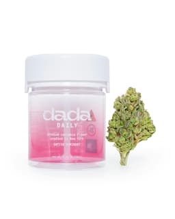 Candy Zeclair | Flower | 3.5g