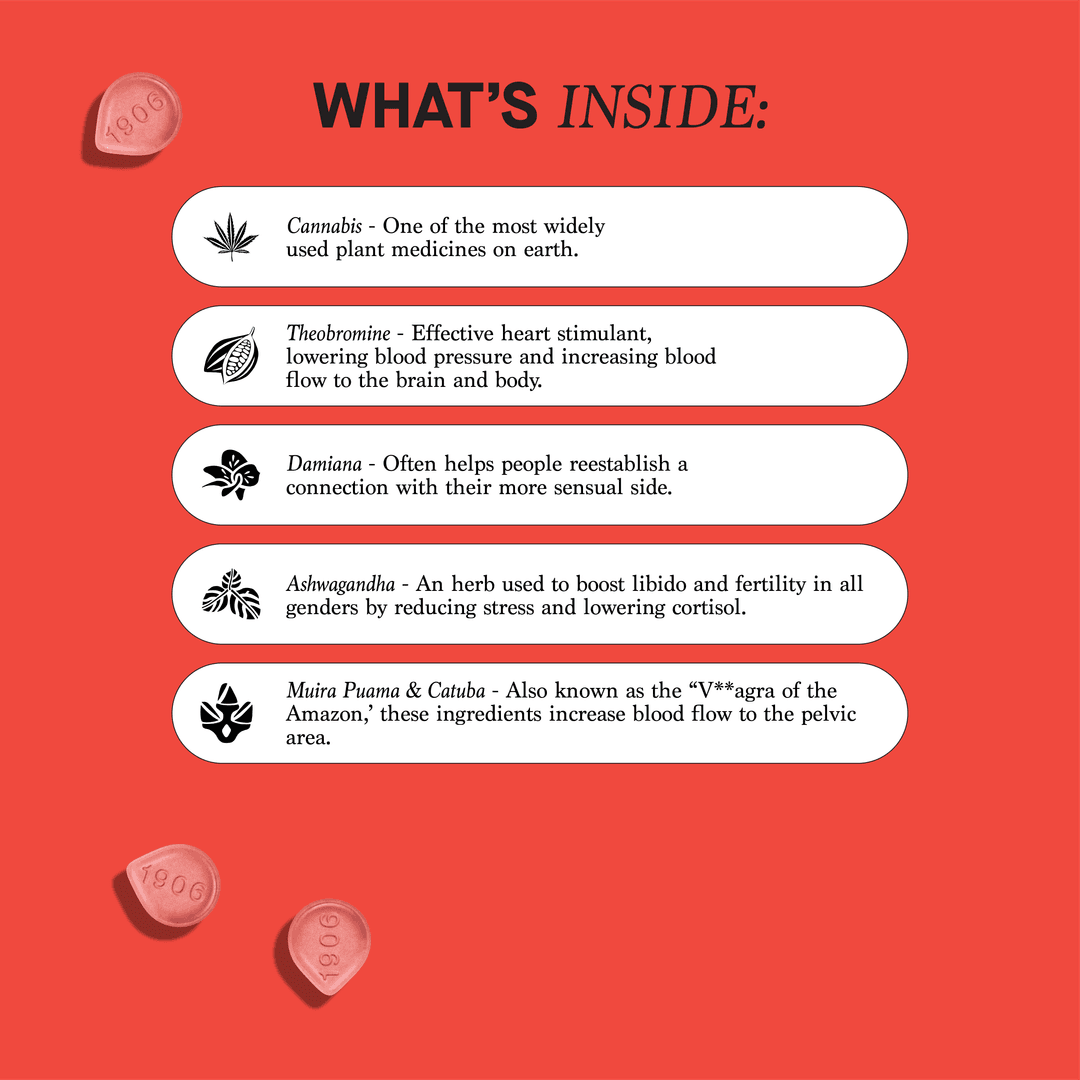 Love • 4 Pack Tablets • THC: 10mg, CBD: 10mg - (1906) | Treehouse Cannabis