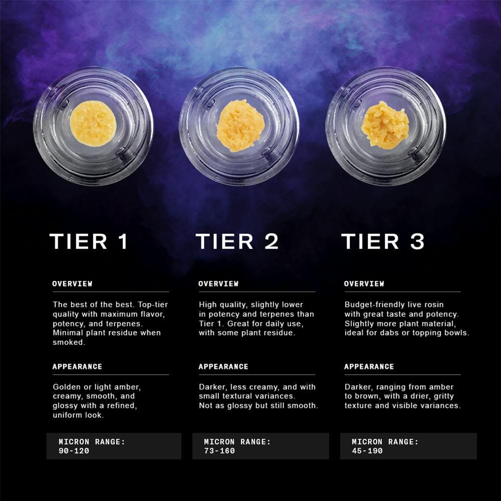 Gogurtz • Tier 2 Live Rosin Concentrate • 1g - RYTHM | Treehouse Cannabis