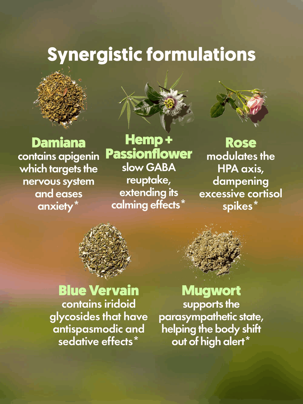 Calm + Clarity • 1000mg CBD • 400mg CBG • 120 Softgel Tablets - Xula Herbs | Treehouse Cannabis