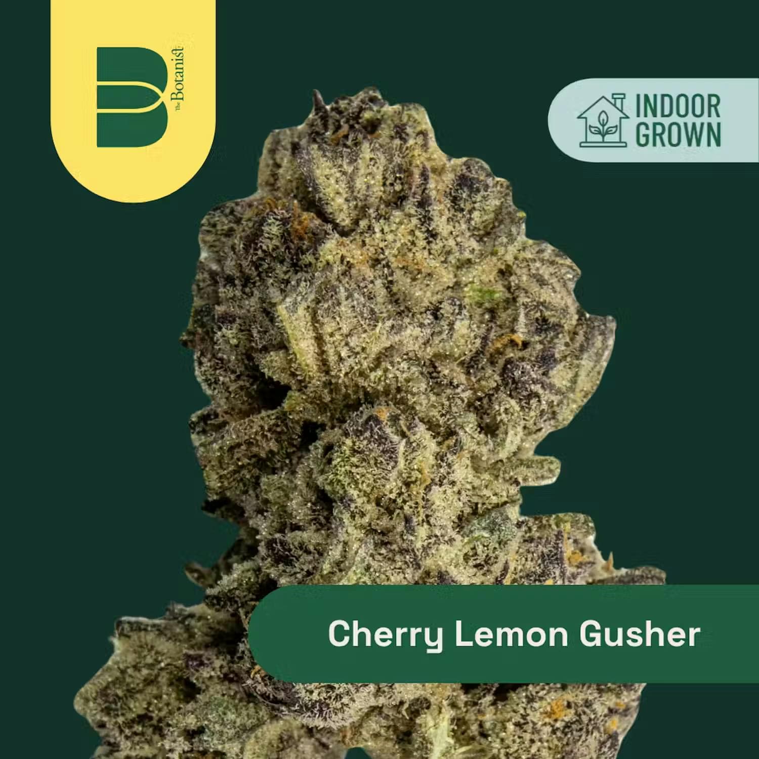 product image for Cherry Lemon Gusher Flower 14g