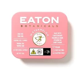 Gal Pal Watermelon Gummies | 20 pack | 100mg