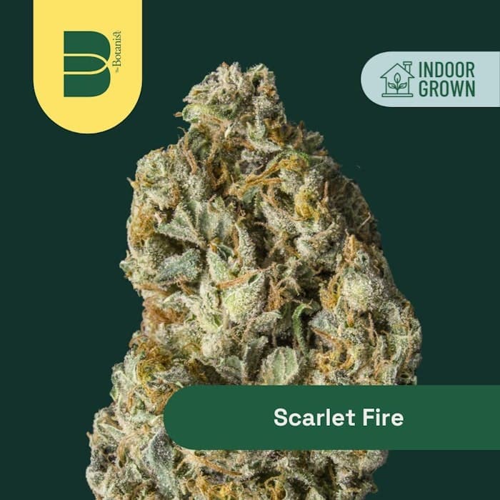 product image for Scarlet Fire Flower 14g