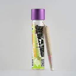 NYC Sour Diesel | Bigger Bang • Infused Pre-Roll • 1g
