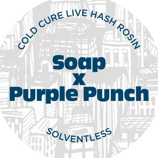 Soap x Purple Punch • Live Rosin Concentrate • 1g - Nyce | Treehouse Cannabis
