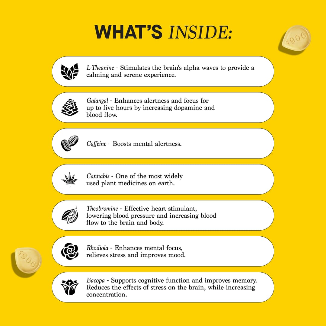 Genius Drops 4-Pack - (1906) | Treehouse Cannabis