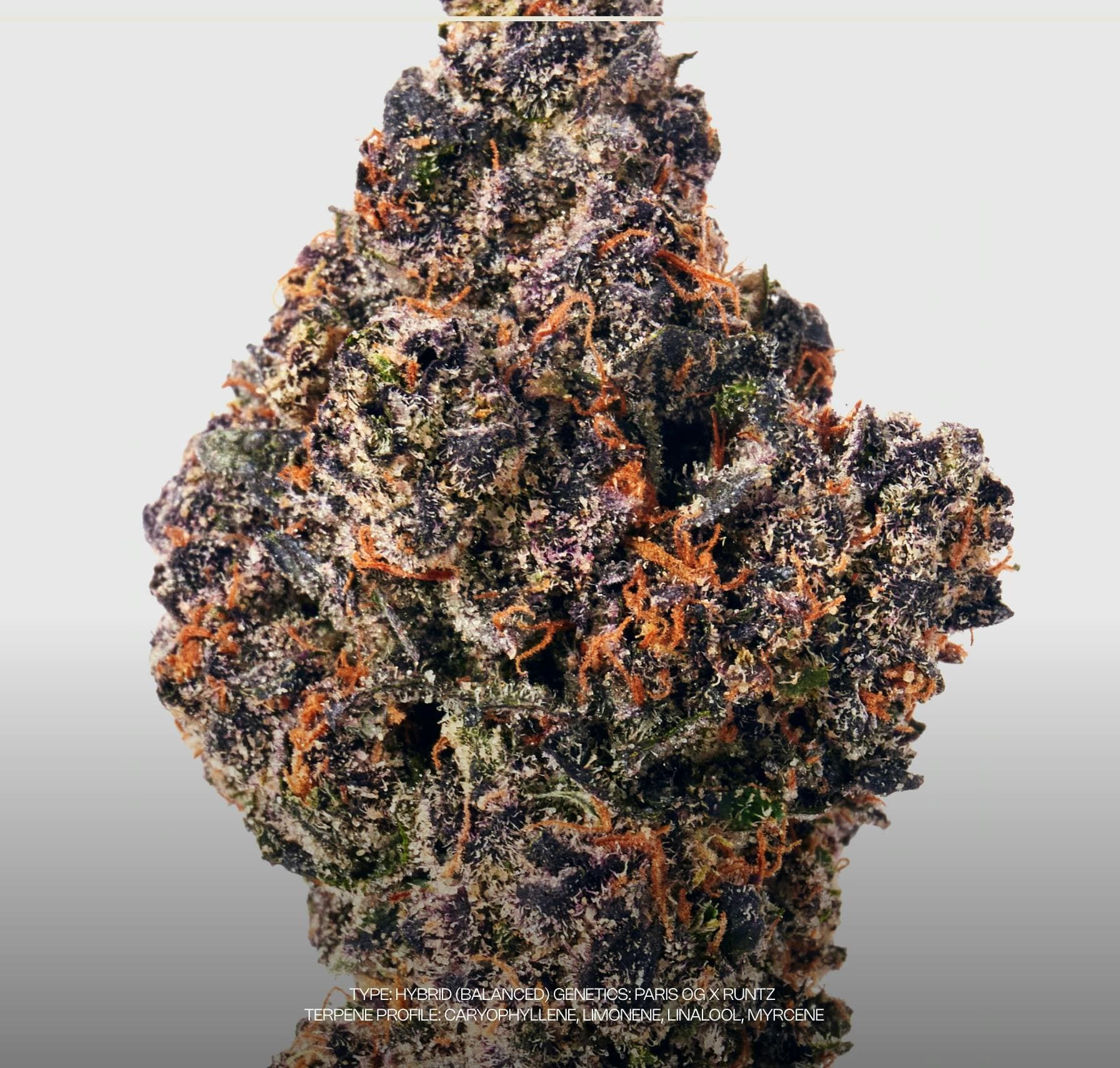 product image for Rolex Runtz Flower 3.5g