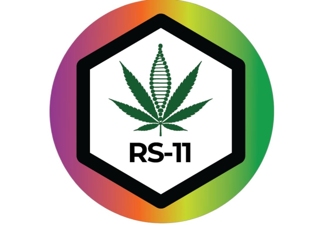 RS-11 • Flower • 3.5g - Hybrid Theory | Treehouse Cannabis