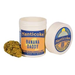 Banana Daddy | Nanticoke | Flower | 3.5g