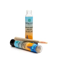 Lemon Cherry Gelato | Pre-Roll | 1G