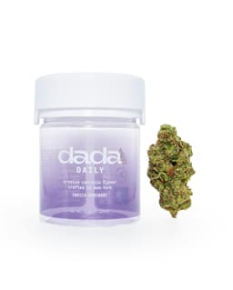 Garlic Cream | Flower | 3.5g