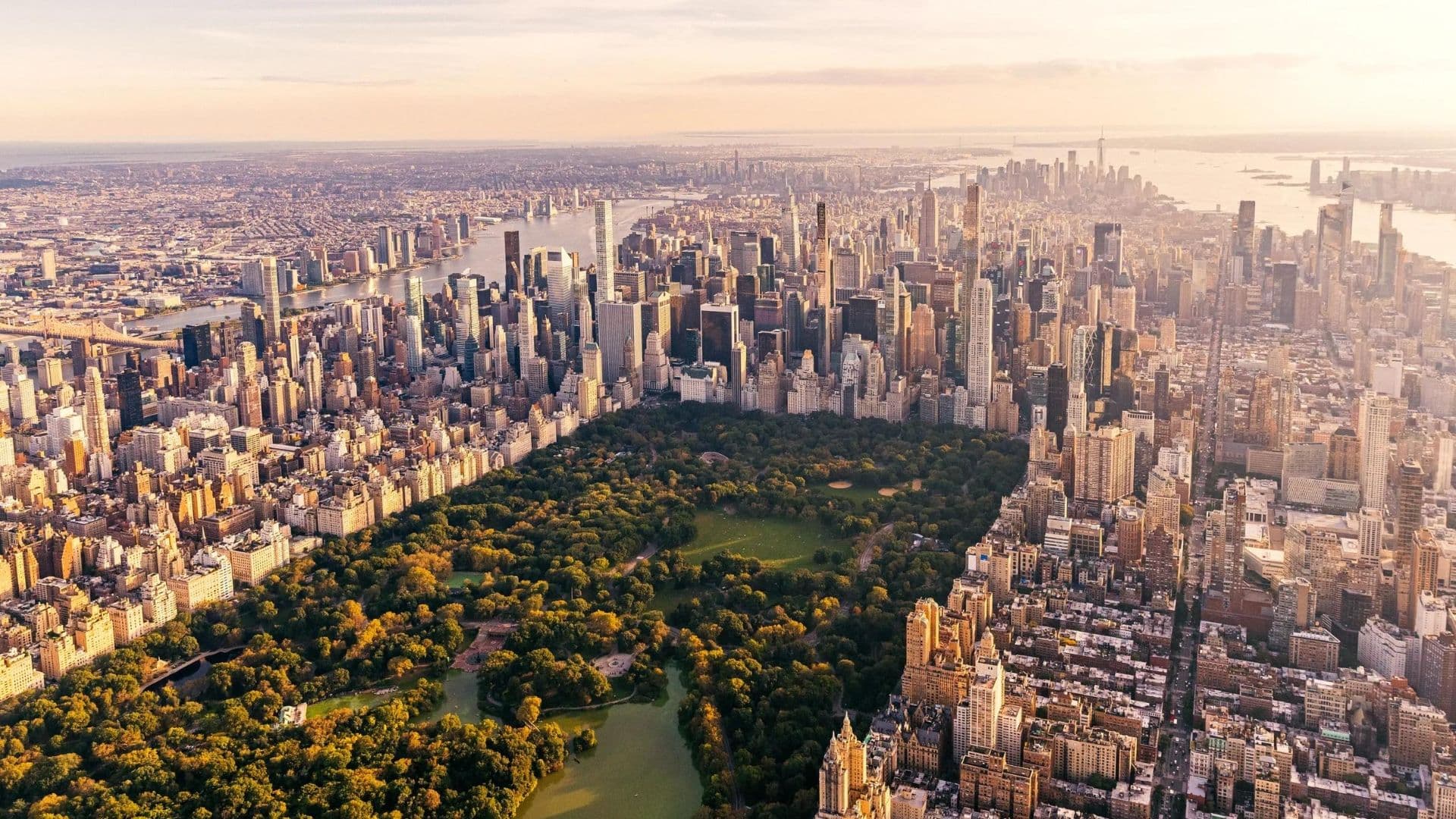 The Rise of New York Cannabis Dispensaries in: A Historical Perspective blog post cover image