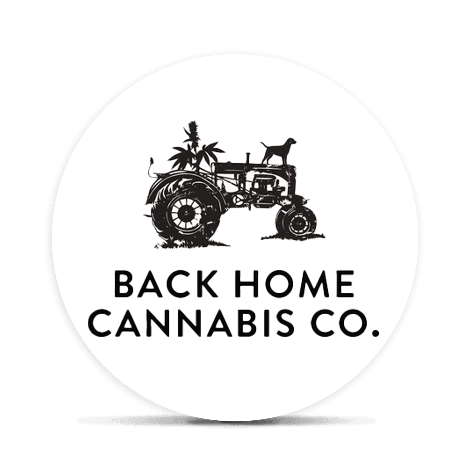 Back Home Cannabis Co. brand logo
